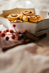  Christmas cinnamon stars on a beautiful plate with decoration and beautiful light - food photography