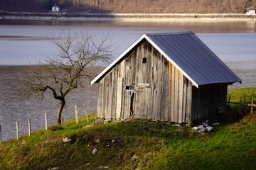 Fototapeta na wymiar Old shack with tree at lake