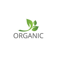 Vector organic and natural logo design template