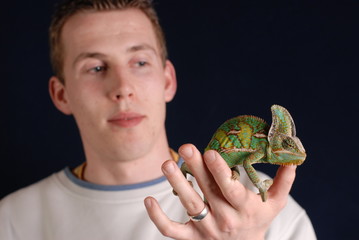 Mann & jemenchameleon