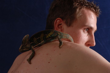 Mann & Chameleon (Jemenchameleon)