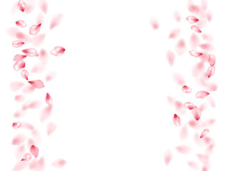 Pink sakura flower flying petals isolated on white vector background.