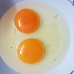 eggs