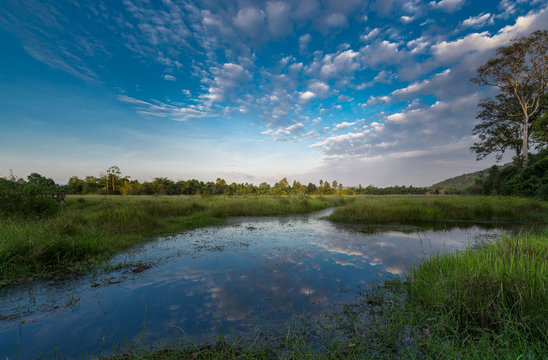 reflecton of the blue sky and the clouds  on a little pond surrounded by a wonderul landscape in green 