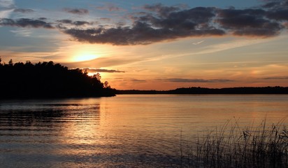 glowing evening sun behind the forest on a fjord