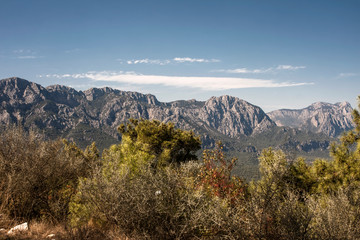 beautiful panorama taken from a height