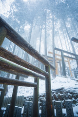 鳥居と雪景色