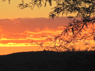 Karoo sunset