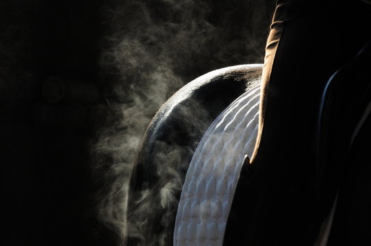 Detail schwitzendes Pferd