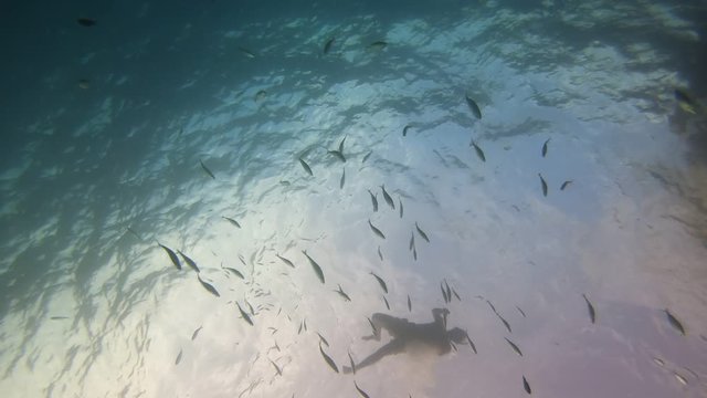 snorkeling en la playa de mallorca entre peces concepto de verano y vacaciones