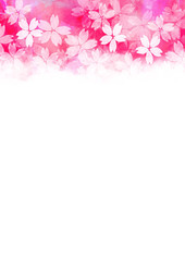 Fototapeta premium 桜 水彩 イラスト素材