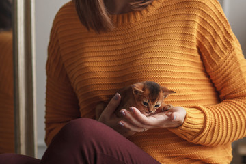 Obraz premium young woman holding a red kitten in her arms in the studio close up