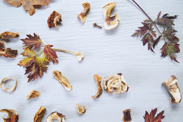 Fototapeta na wymiar Dried mushrooms and autumn leaves on a background of white wood. 