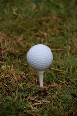 Golf ball and white tee closeup detail