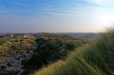 Fototapeta na wymiar Sand dunes in the coast of Fort Mahon plage 