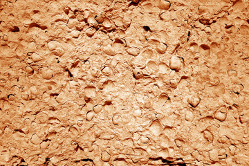 Shell rock stone close-up in orange tone.