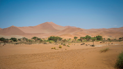 Fototapeta na wymiar View on Sossusvlei landscape and nature, in the Namibian desert