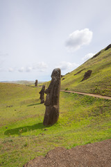 Moais on the outer slopes of Rano Raraku volcano. Rano Raraku is the quarry site where the moais were carved. Easter Island, Chile