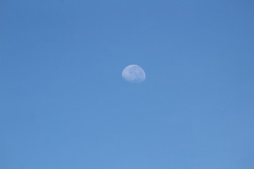 southern moon in a cloudless early morning sky