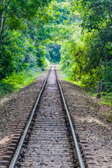 Fototapeta premium Railway tracks in Lowacherra National Park near Srimangal, Bangladesh