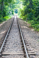 Fototapeta na wymiar Railway tracks in Lowacherra National Park near Srimangal, Bangladesh