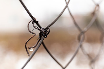 Steel mesh. Metal fence detail. Abstract concept. Soft focus.