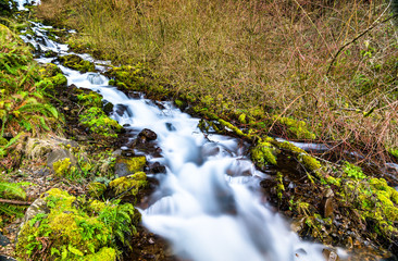 Wahkeena Creek in the Columbia River Gorge, USA