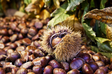 Chestnuts on display in a traditional italian christmas market 