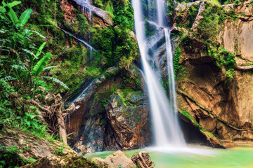 Obraz premium Scenic view of waterfall in forest