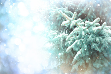 Fototapeta na wymiar Christmas tree in snow, background with fir branches