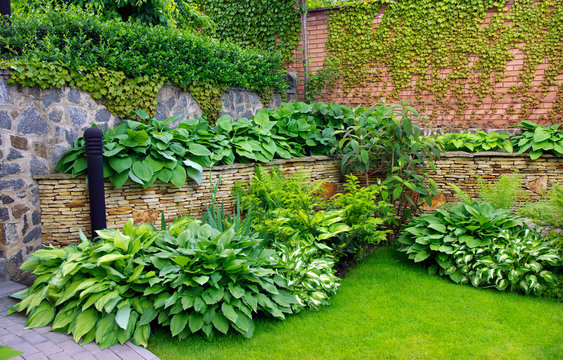 Detail Of A Botanical Garden.