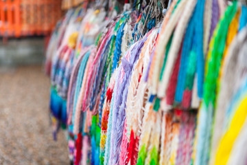 Travel Osaka Garden Sakura Spring 33