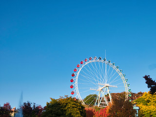ferris wheel in amusement park