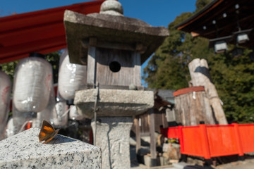 京都、松ヶ崎にある新宮神社の境内の石にとまるウラギンシジミチョウと境内の様子です