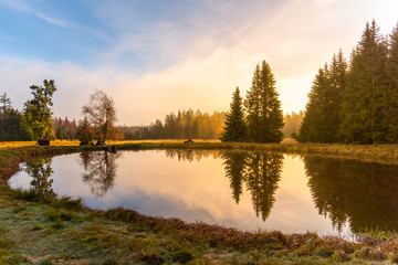 Fototapeta na wymiar Trees reflected in the pond. Kladska peat bog National Reserve near Marianske Lazne, Czech Republic