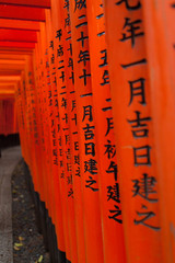 Travel Osaka Garden Sakura Spring 35
