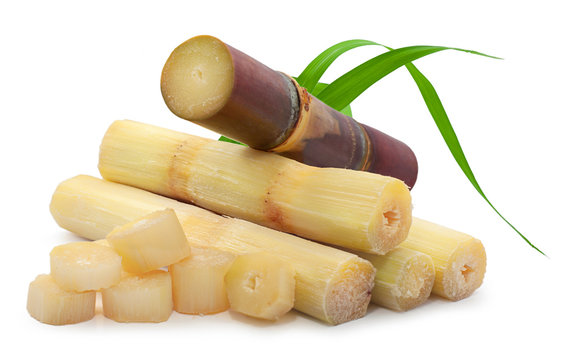 Single object of sugar cane isolated on white background