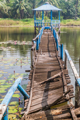 Fototapeta premium Broken boardwalk in Harbaria eco park in Sundarbans, Bangladesh