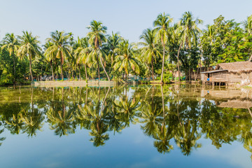 Naklejka na ściany i meble Palms and village houses reflecting in a pond in Bagerhat, Bangladesh