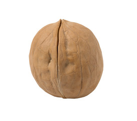Walnut isolated on a white background.