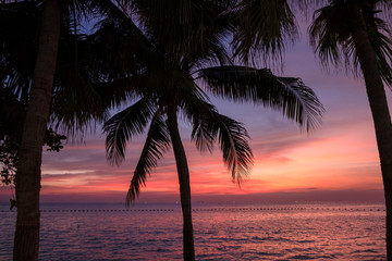 Beautiful Red and blue sunset on the background of the sea and sand. Sun loungers and palm trees