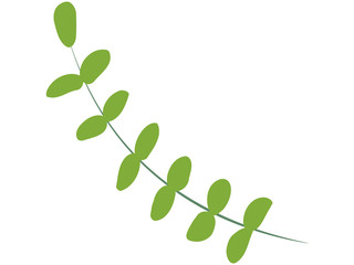 Obraz premium 緑の植物のイラスト