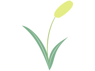 緑の植物のイラスト