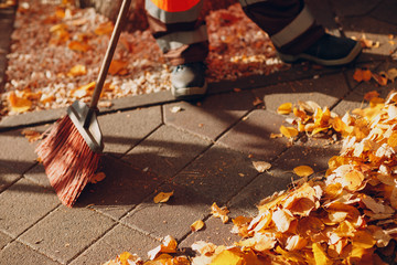 Janitor cleaner sweeping autumn leaves on the street