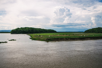 Fazenda no Pantanal Sul, Mato Grosso do Sul, Brasil