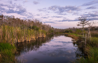 Fakahatchee Strand State Preserve