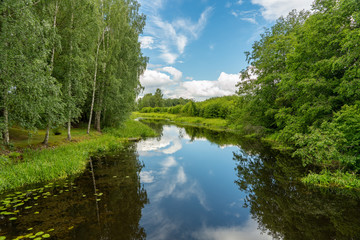 Fototapeta na wymiar Summer view of a river in Sweden with lush foliage along the riverbank