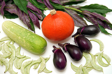 加賀野菜　夏野菜