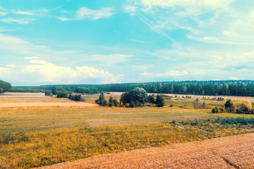 The rural landscape on a sunny day. View from above