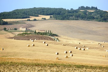 Obraz premium Iconic Tuscany landscape in the summer